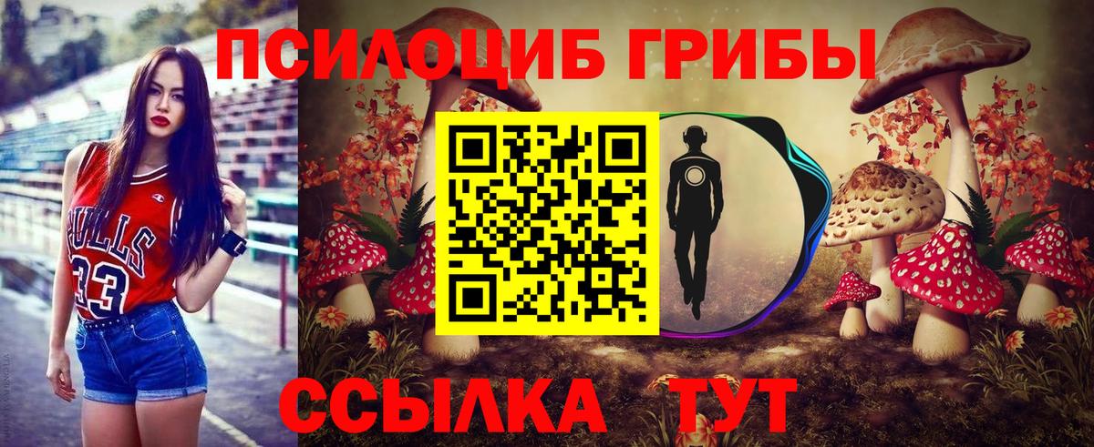 Псилоцибиновые грибы Cubensis Советск